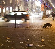 Kita Naujųjų metų sutikimo pusė.