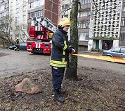 Įvykio vietoje Vilniuje, Karolini&scaron;kėse