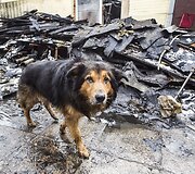 Vilniuje, Kalvarijų gatvėje, gyvenusios Rožės namus sausio 14-ąją prarijo gaisras.