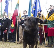 Prie Rusijos ambasados mitingas prie&scaron; Rusijos agresiją.