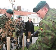 Vilniuje prie Mindaugo paminklo ketvirtadienį Vilniaus grįžimo Lietuvai 70-mečio proga buvo sodinami ąžuoliukai. Po vieną sodinuką pasodino Seimo pirmininkė Irena Degutienė, Vilniaus miesto savivaldybės vicemeras Gintautas Babravičius ir Lietuvos kariuomenės vadas generolas majoras Arvydas Pocius.