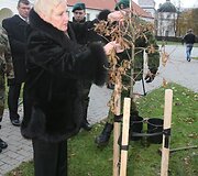 Vilniuje prie Mindaugo paminklo ketvirtadienį Vilniaus grįžimo Lietuvai 70-mečio proga buvo sodinami ąžuoliukai. Po vieną sodinuką pasodino Seimo pirmininkė Irena Degutienė, Vilniaus miesto savivaldybės vicemeras Gintautas Babravičius ir Lietuvos kariuomenės vadas generolas majoras Arvydas Pocius.
