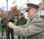 Vilniuje prie Mindaugo paminklo ketvirtadienį Vilniaus grįžimo Lietuvai 70-mečio proga buvo sodinami ąžuoliukai. Po vieną sodinuką pasodino Seimo pirmininkė Irena Degutienė, Vilniaus miesto savivaldybės vicemeras Gintautas Babravičius ir Lietuvos kariuomenės vadas generolas majoras Arvydas Pocius.