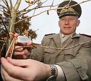 Vilniuje prie Mindaugo paminklo ketvirtadienį Vilniaus grįžimo Lietuvai 70-mečio proga buvo sodinami ąžuoliukai. Po vieną sodinuką pasodino Seimo pirmininkė Irena Degutienė, Vilniaus miesto savivaldybės vicemeras Gintautas Babravičius ir Lietuvos kariuomenės vadas generolas majoras Arvydas Pocius.