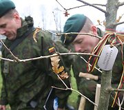 Vilniuje prie Mindaugo paminklo ketvirtadienį Vilniaus grįžimo Lietuvai 70-mečio proga buvo sodinami ąžuoliukai. Po vieną sodinuką pasodino Seimo pirmininkė Irena Degutienė, Vilniaus miesto savivaldybės vicemeras Gintautas Babravičius ir Lietuvos kariuomenės vadas generolas majoras Arvydas Pocius.