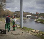 Vaizdas i&scaron;kirtus medžius.