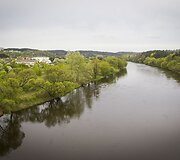 Vingiuojant sostinės dviračių takais...