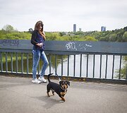 Vingiuojant sostinės dviračių takais...