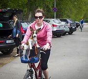 Vingiuojant sostinės dviračių takais...