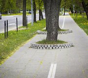Vingiuojant sostinės dviračių takais...