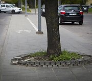 Vingiuojant sostinės dviračių takais...