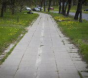 Vingiuojant sostinės dviračių takais...