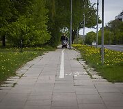 Vingiuojant sostinės dviračių takais...
