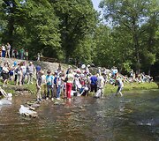 La&scaron;i&scaron;ų ir &scaron;lakių jaunikliai leidžiami į Vilnią.