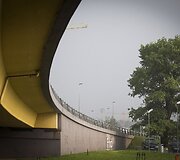 Liūtis Vilniuje