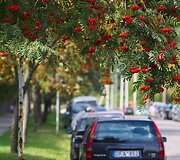 Vienas atokiausių Vilniaus rajonų &ndash; Naujoji Vilnia