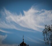 Saulės nutviekstas Vilnius ir vilniečiai.