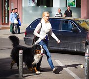 Saulės nutviekstas Vilnius ir vilniečiai.