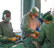 &bdquo;&Scaron;irdies operacija i&scaron; arti&ldquo;