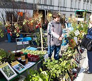 Vilniečius sukvietė &bdquo;Sodo kraitė&ldquo;