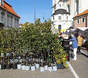 Vilniečius sukvietė &bdquo;Sodo kraitė&ldquo;