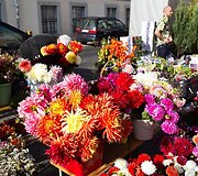 Vilniečius sukvietė &bdquo;Sodo kraitė&ldquo;
