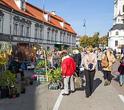 Vilniečius sukvietė &bdquo;Sodo kraitė&ldquo;