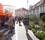 Vilniečius sukvietė &bdquo;Sodo kraitė&ldquo;