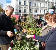Vilniečius sukvietė &bdquo;Sodo kraitė&ldquo;
