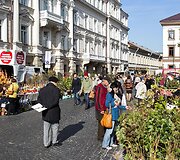 Vilniečius sukvietė &bdquo;Sodo kraitė&ldquo;