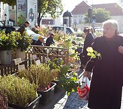 Vilniečius sukvietė &bdquo;Sodo kraitė&ldquo;