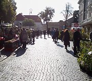 Vilniečius sukvietė &bdquo;Sodo kraitė&ldquo;
