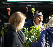 Vilniečius sukvietė &bdquo;Sodo kraitė&ldquo;