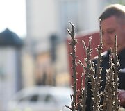 Vilniečius sukvietė &bdquo;Sodo kraitė&ldquo;