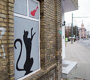 Vilniuje duris atvėrė kačių kavinė - lankytojams kompaniją palaiko net 9 murkliai.