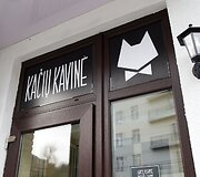 Vilniuje duris atvėrė kačių kavinė - lankytojams kompaniją palaiko net 9 murkliai.