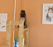 Vilniuje duris atvėrė kačių kavinė - lankytojams kompaniją palaiko net 9 murkliai.