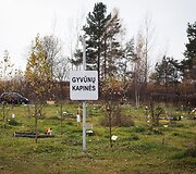 Vėlinių žvakutės - ir Vilniaus gyvūnų kapinėse.
