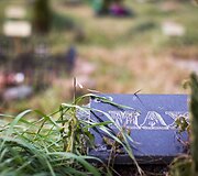 Vėlinių žvakutės - ir Vilniaus gyvūnų kapinėse.