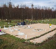 Vėlinių žvakutės - ir Vilniaus gyvūnų kapinėse.