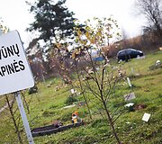 Vėlinių žvakutės - ir Vilniaus gyvūnų kapinėse.