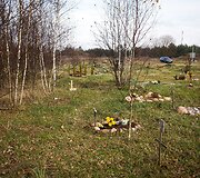 Vėlinių žvakutės - ir Vilniaus gyvūnų kapinėse.