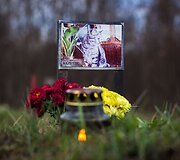 Vėlinių žvakutės - ir Vilniaus gyvūnų kapinėse.