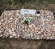Vėlinių žvakutės - ir Vilniaus gyvūnų kapinėse.