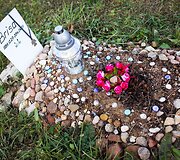 Vėlinių žvakutės - ir Vilniaus gyvūnų kapinėse.