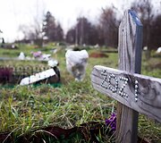 Vėlinių žvakutės - ir Vilniaus gyvūnų kapinėse.