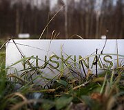 Vėlinių žvakutės - ir Vilniaus gyvūnų kapinėse.