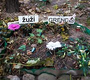 Vėlinių žvakutės - ir Vilniaus gyvūnų kapinėse.