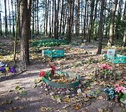 Vėlinių žvakutės - ir Vilniaus gyvūnų kapinėse.