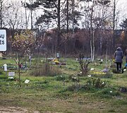 Vėlinių žvakutės - ir Vilniaus gyvūnų kapinėse.